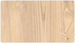 castano kentucky arena